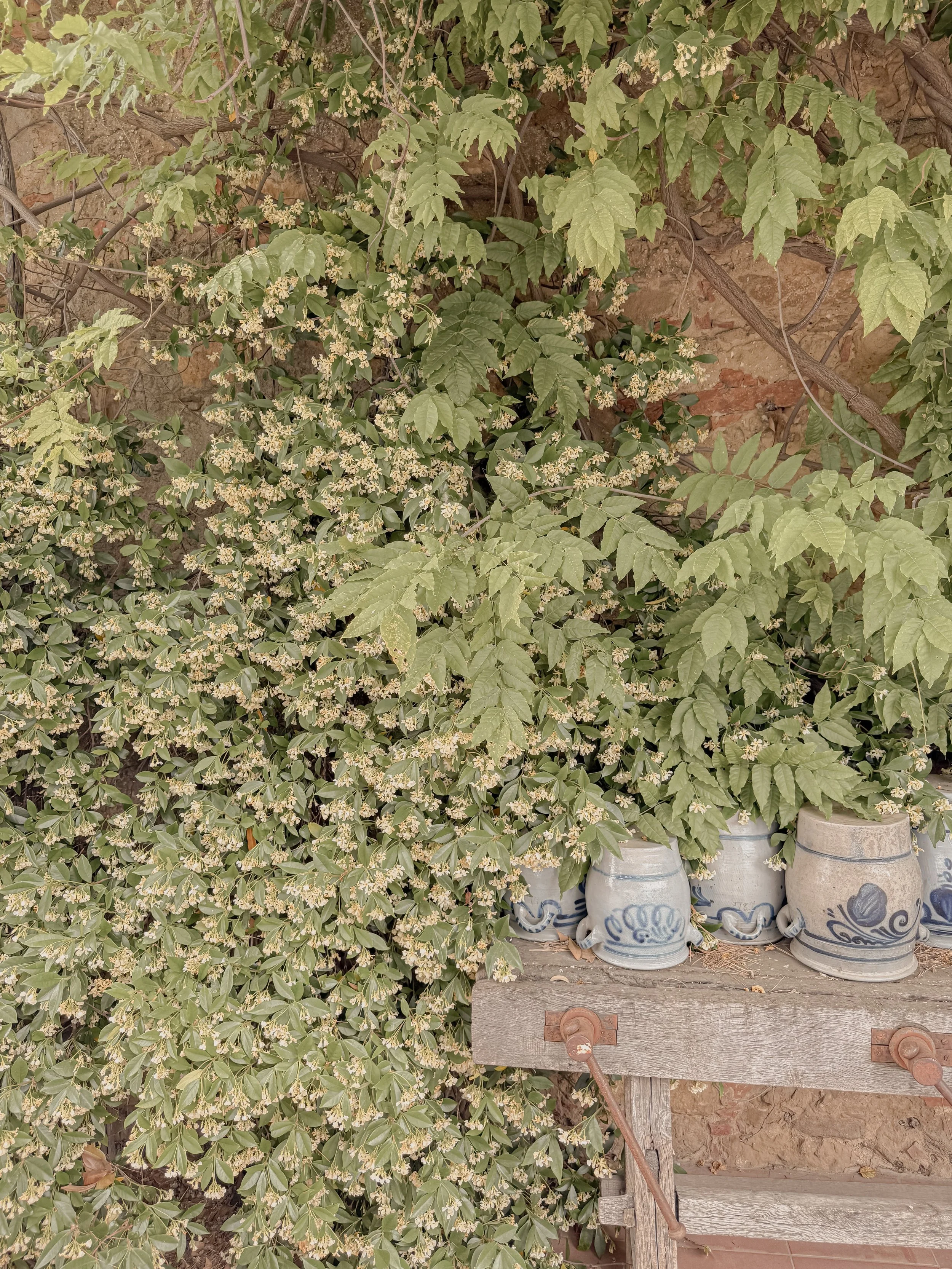 The Autumn Harvest: Tuscany & Umbria