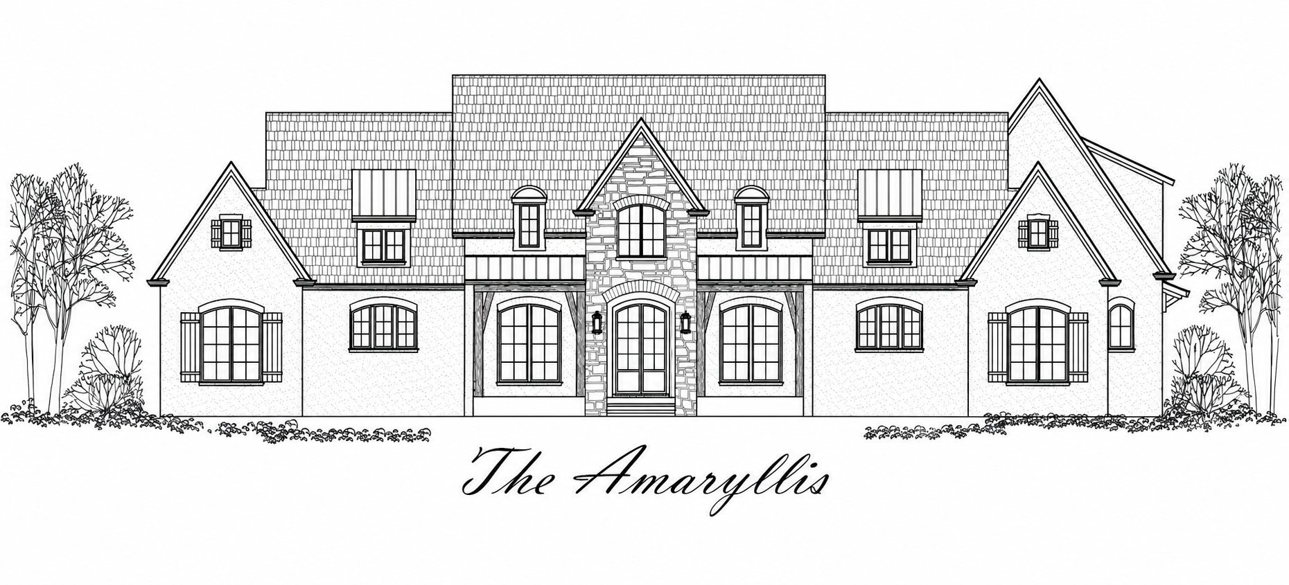 Amaryllis.png