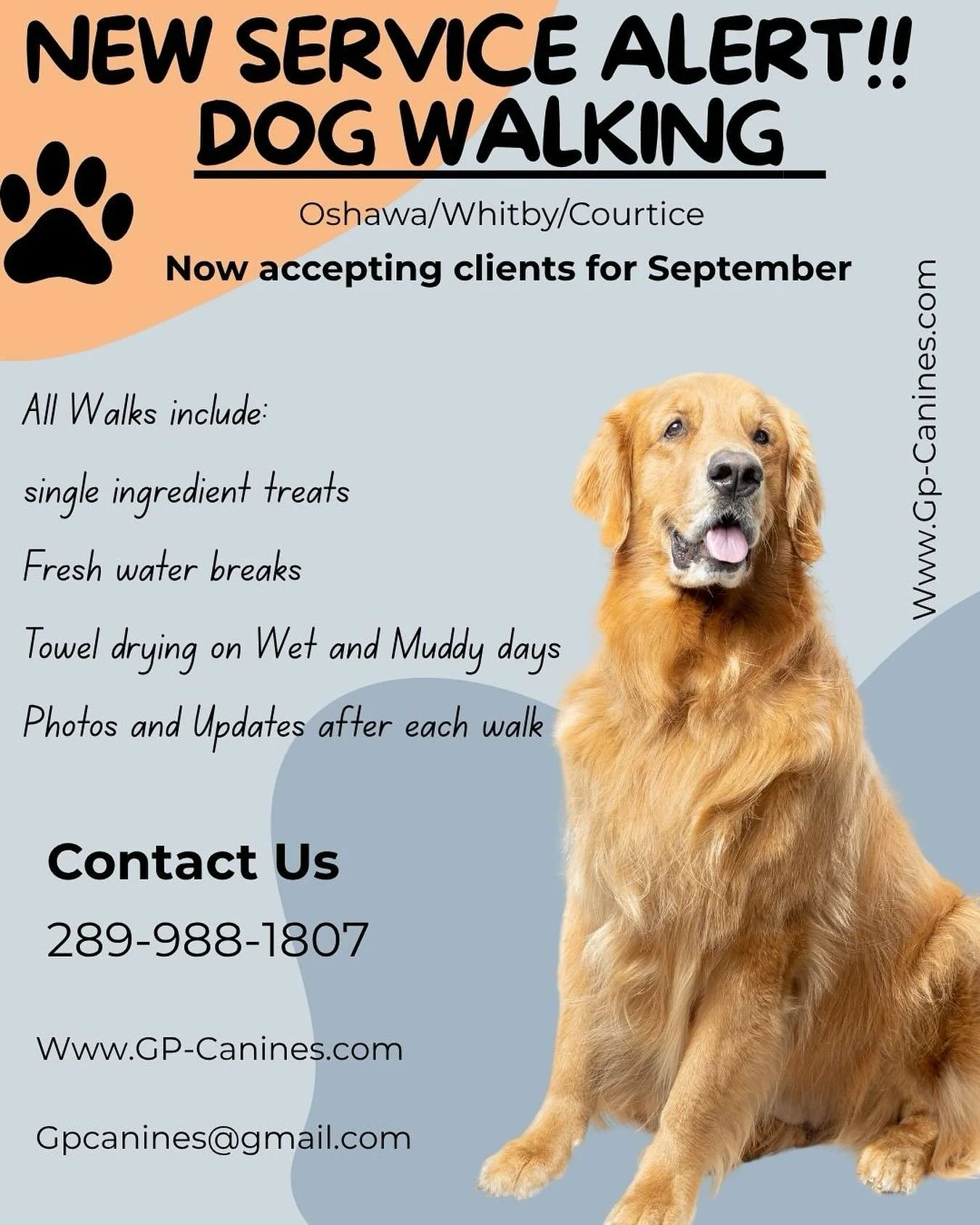 New Service Alert!!!! We will be Offering Dog Walking services starting in September 🐾 Limited Spots are available! Contact us to book your spots today 🐾 #durhamregiondogtrainer #dogwalkingservices #newservicealert🚨 #oshawadogtrainer #oshawadogwal