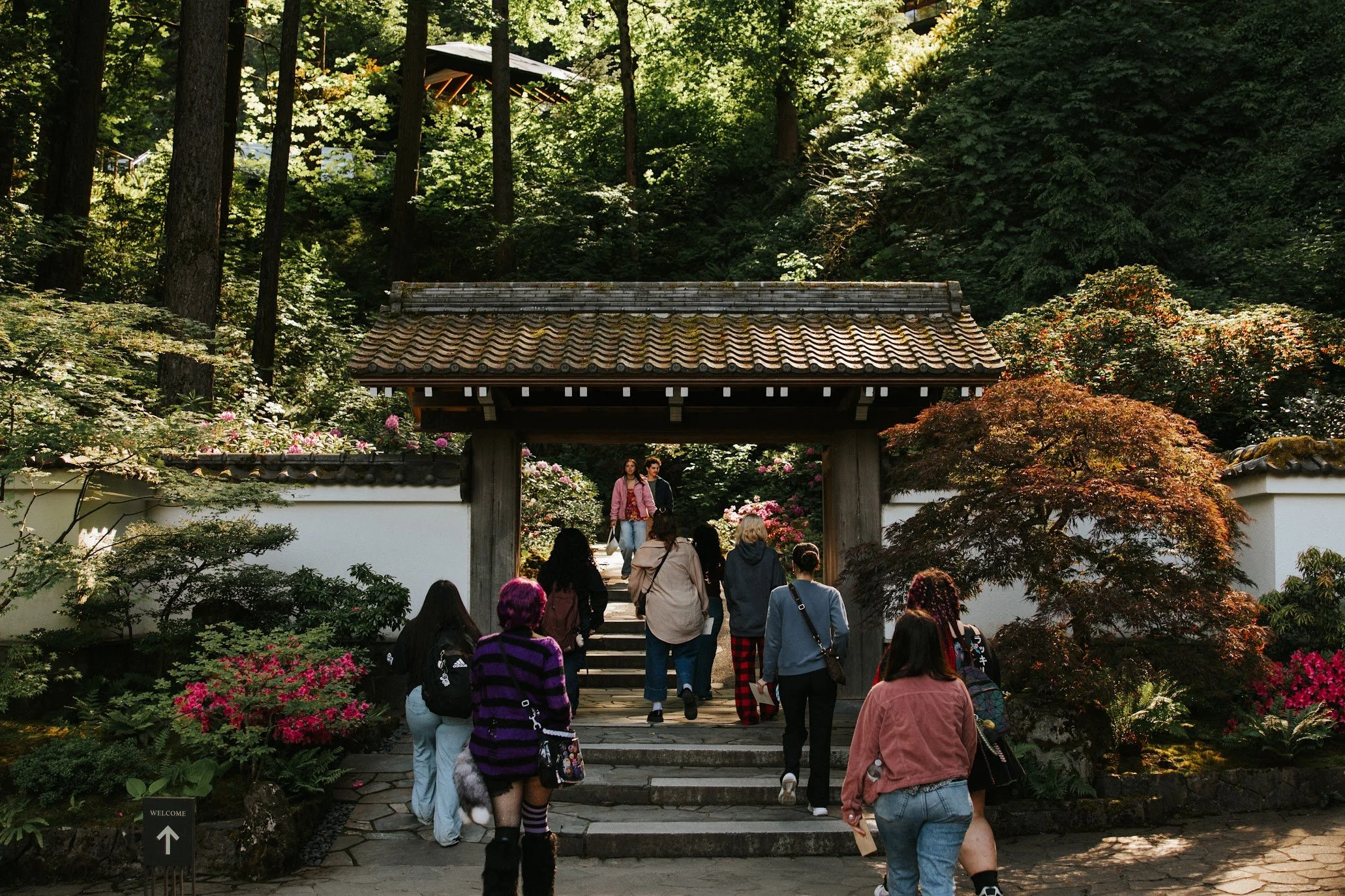 Outpatient youth exploring the Portland Japanese Garden