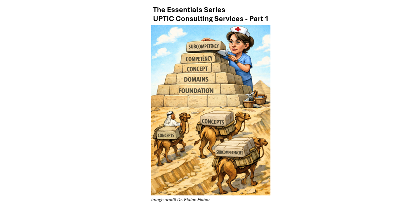 Part 1: Are the AACN Essentials essential?