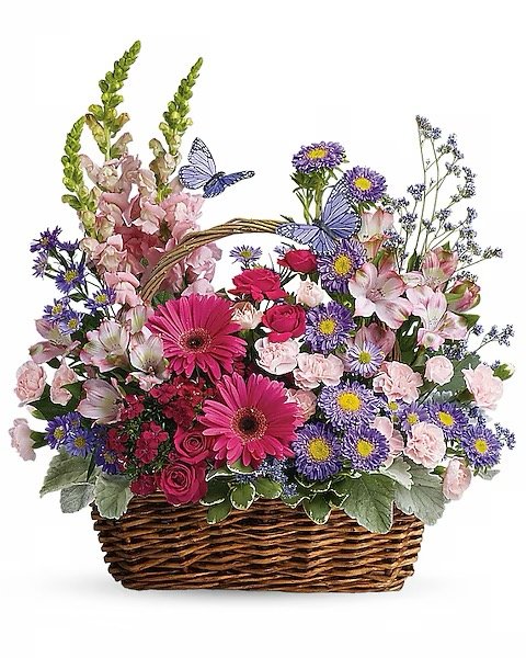 Image 165.jpeg