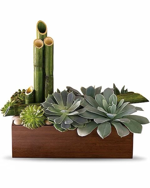 Jardin zen de Teleflora
