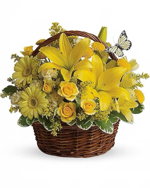 Image 172.jpeg