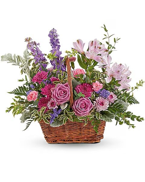 Image 169.jpeg