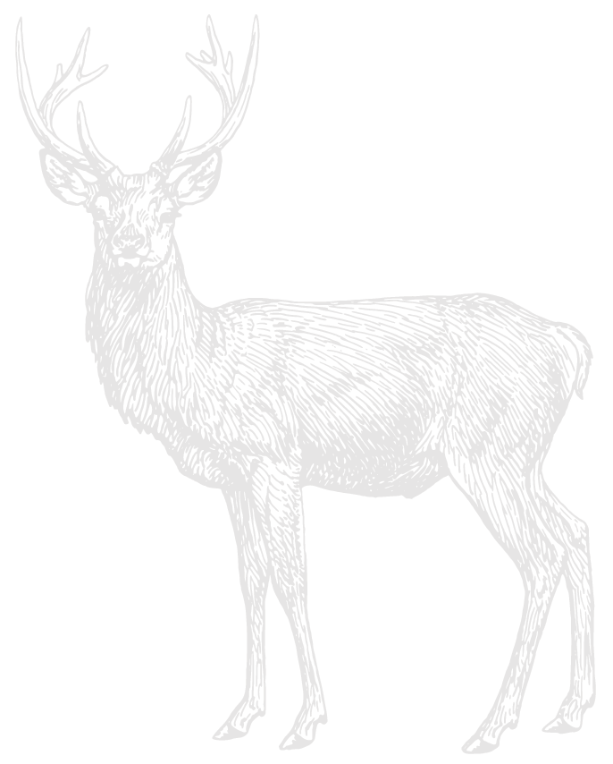 Line drawing of a deer with antlers.