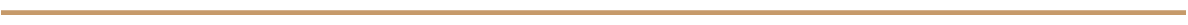 A thin, horizontal gold line.