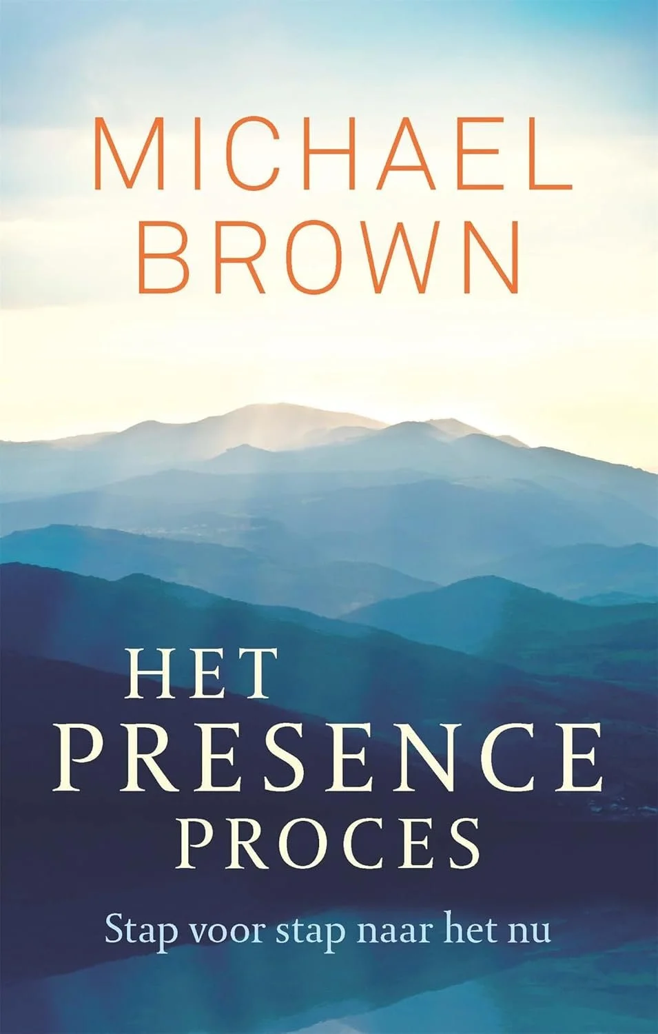 HetPresenceProces-ThePresenceProces_MichealBrown.jpg