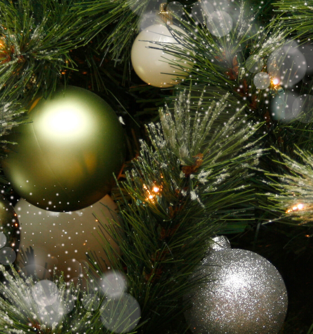 Yuletide Pops