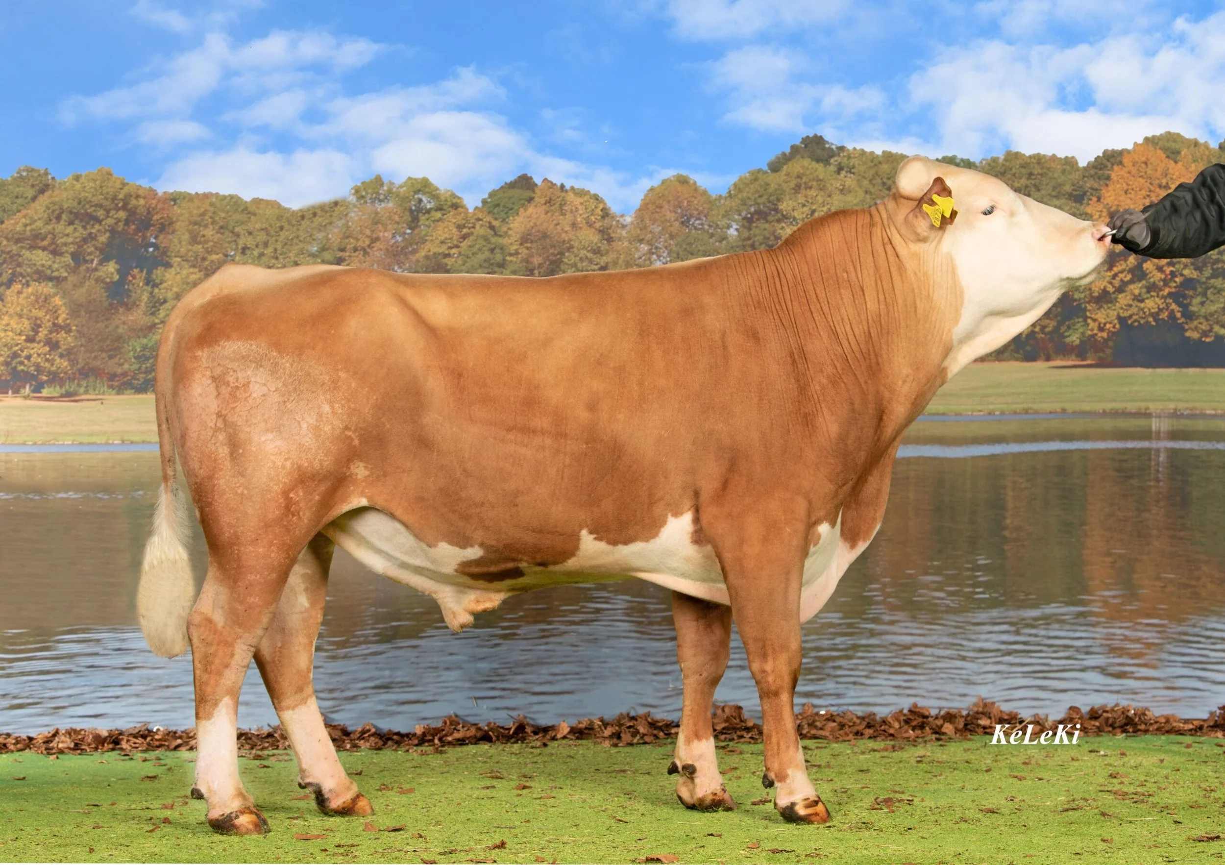 SG0102350_BAMBO_CH_120_1571_7872_7_BARON-scaled (1).jpg