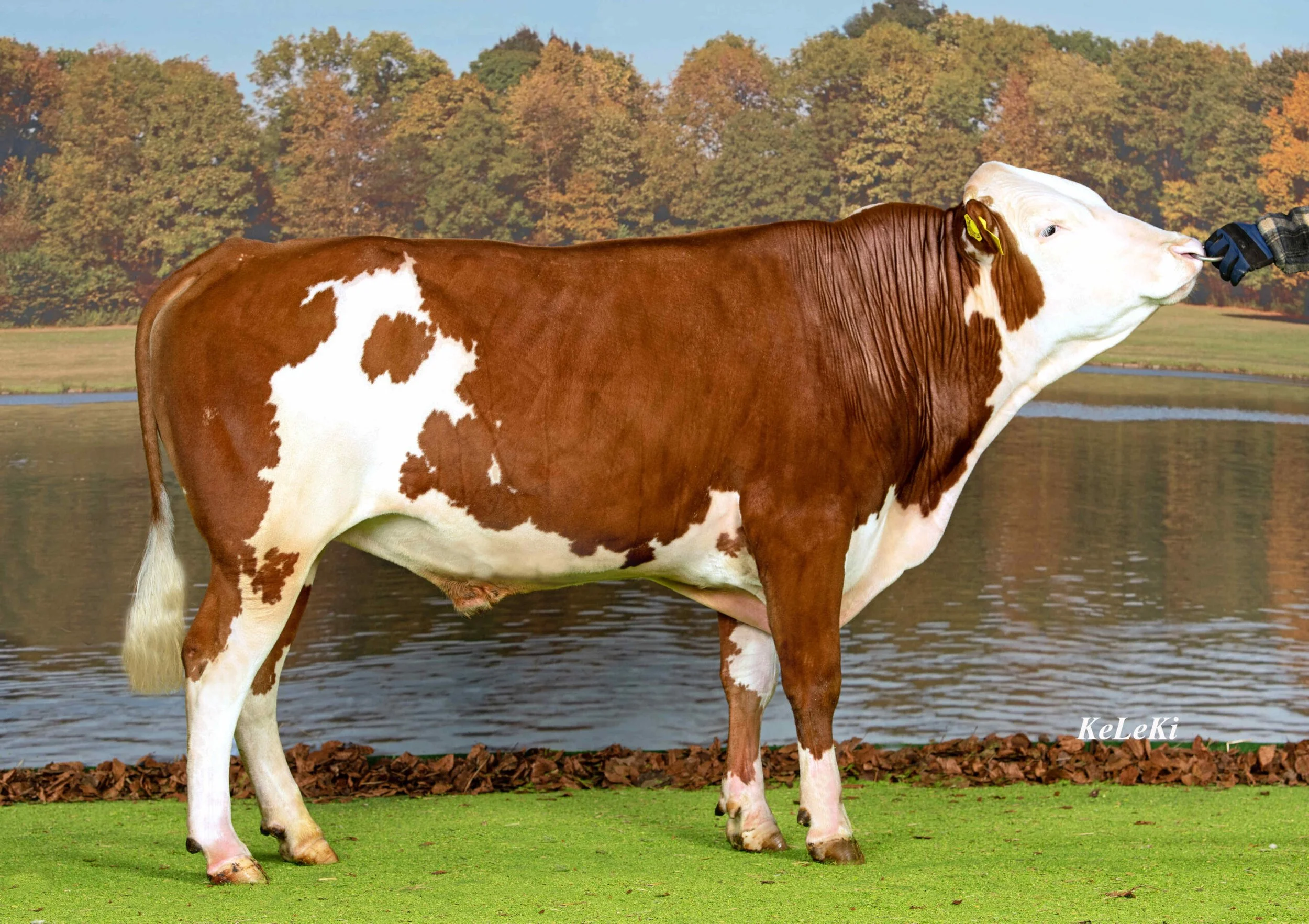 derrick-scaled (1).jpg