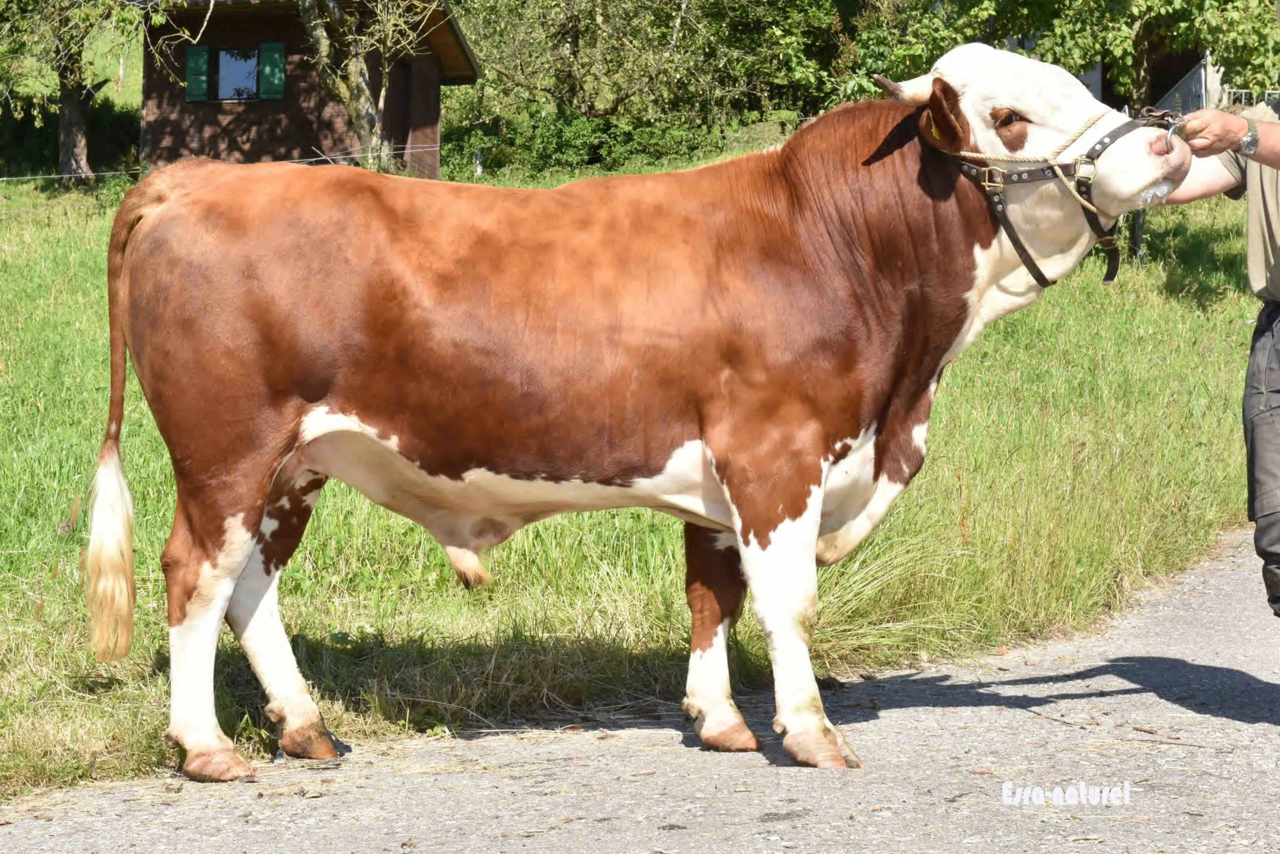 trentino__jpeg-scaled (1).jpg