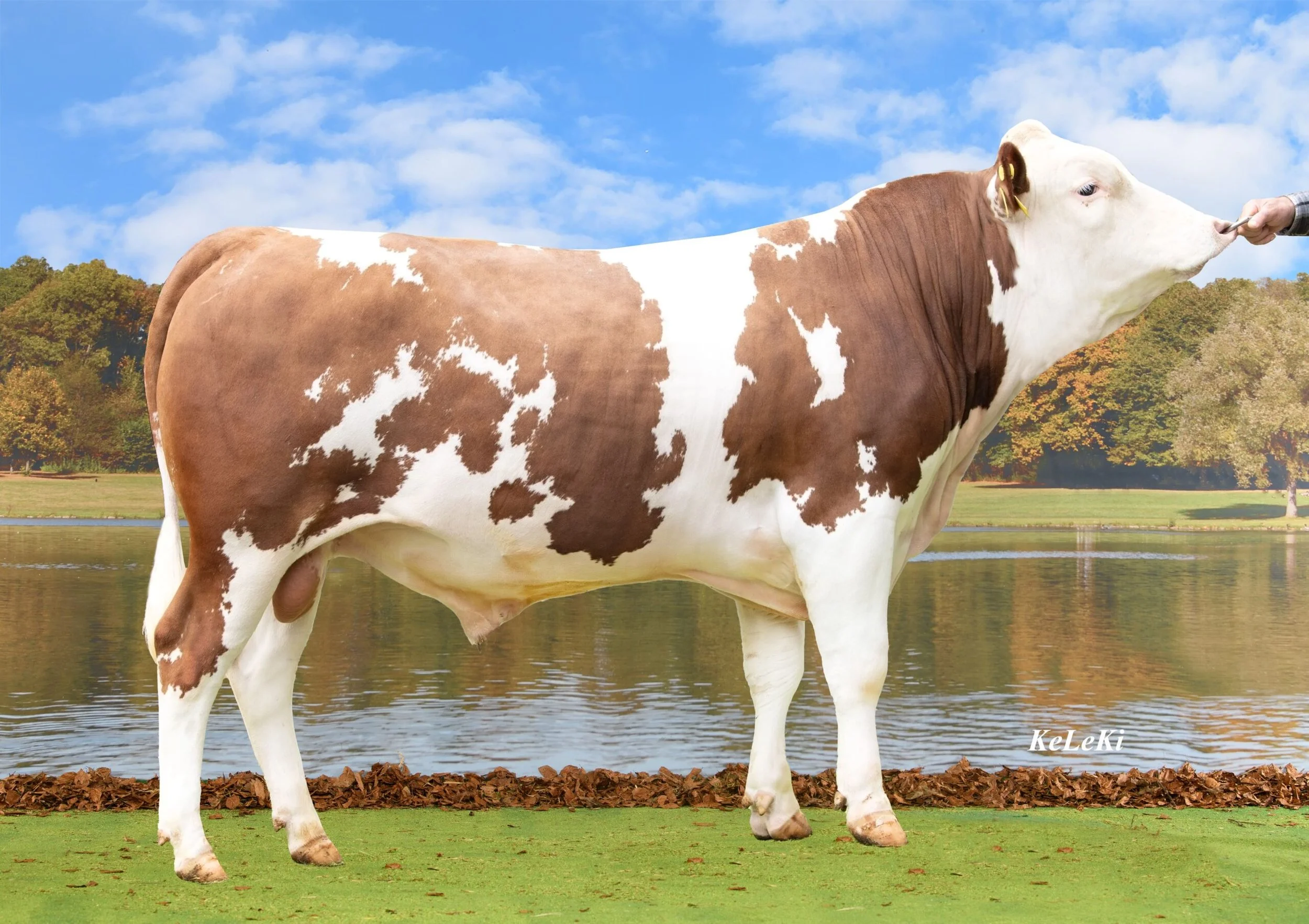 SG0105736_ELMAR_CH_120_1658_6405_6_LEO-scaled (1).jpg