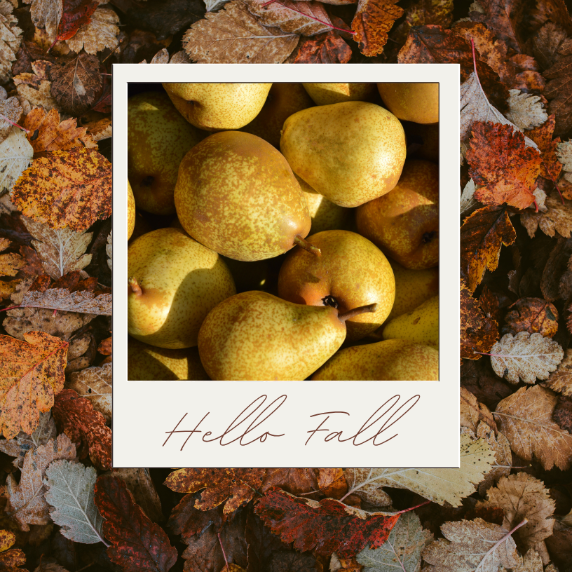 Stewed Pears with Honey &amp; Cinnamon: A Traditional Chinese Medicine Recipe for Autumn