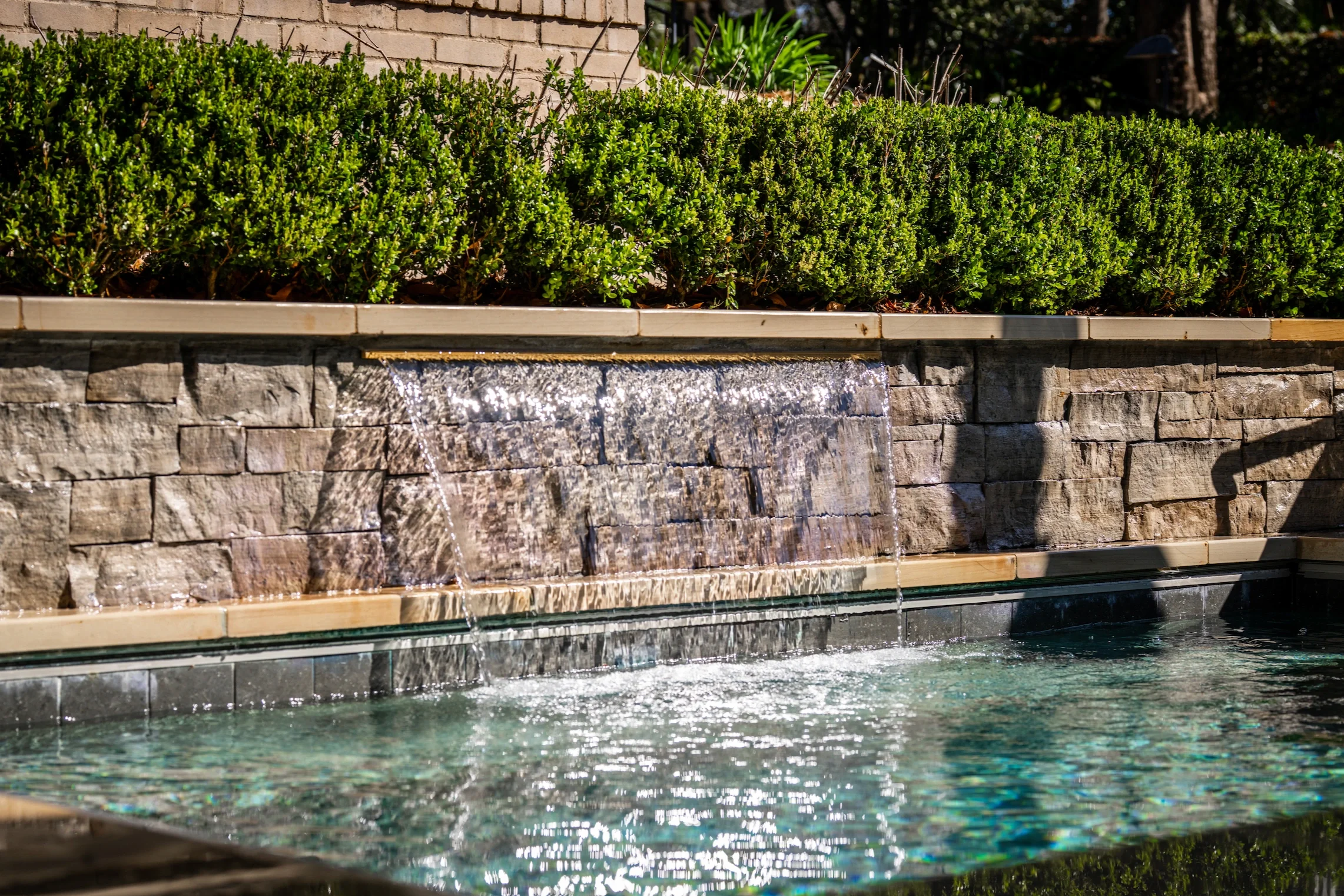 A New Year, a New Backyard