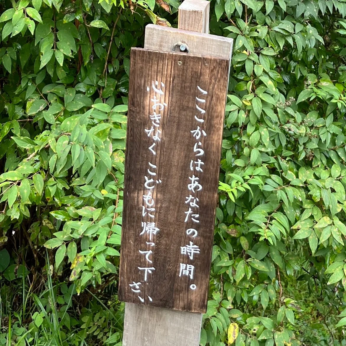 子どもの代わりに保護者がみっけに登校する「大人もみっけ!」を初開催しました!
「〜すべき」という枠を取り外して、瞑想からスタート。さてどんな日になったと思いますか?
はじまりの輪では「子どもが大好きなあのメンターと遊んでみたい!」「子どもがいつも楽しそうに話してくれるものづくりをしたい!」と話してくれました。
・ひたすら穴を掘る人
・カニを釣る人
・草むらで寝っ転がる人
・かごを編む人
・ナイフやスプーンを作る人
ご飯できたよーと呼ばれても
片付けの時間だよーと言われても
聞こえないフリ