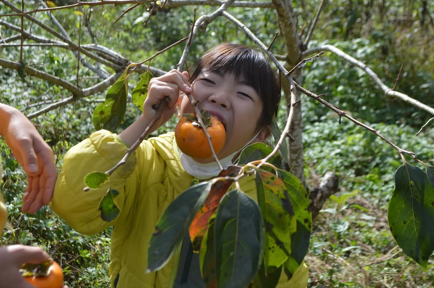 森の学校みっけ | 徳島神山のエコスクール