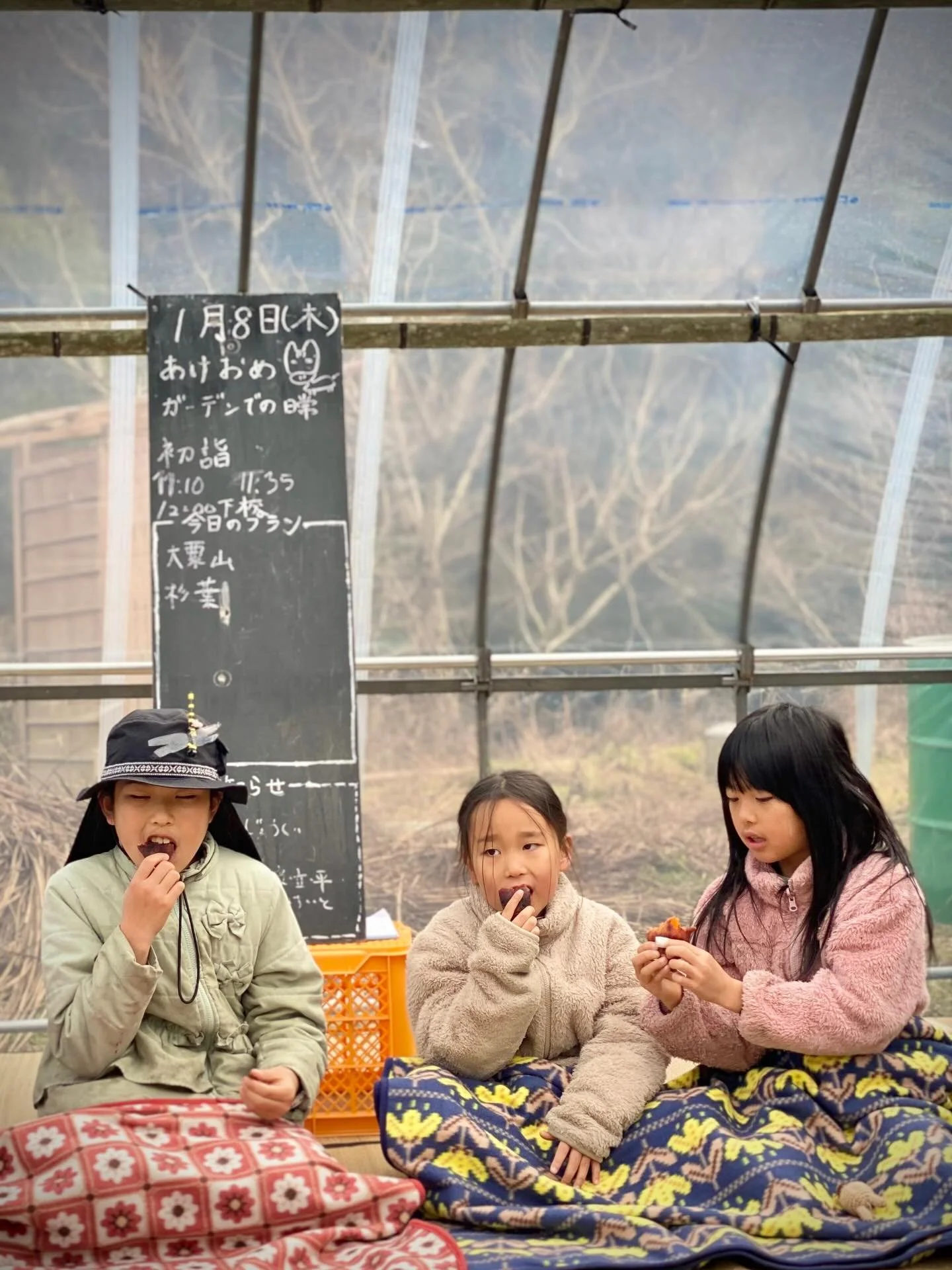 早くも蝋梅が咲き始めた畑のフィールドで
いよいよ新学期がスタート🌱✨

去年の秋から、この年末年始にかけて一気に景色が変わり、新たな居場所として形になってきた&rdquo;畑のフィールド&ldquo;の「みっけガーデン」🌿

今日登校してきた子どもたちは、自分たちで自分たちの居場所を整えようとする姿がありました。

整えるためには何が必要かを考え、薪置き場をつくることを話し合ったり🪵
草刈りは、枯れた草や枝がポキポキと簡単に手で折れて、それがまた楽しい時間になったり😊

これから地域の方