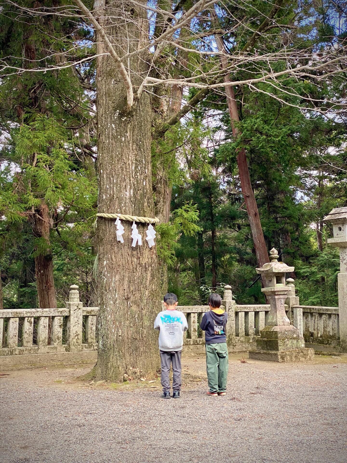 近くの大粟山の神社へ初詣にも行きました⛩️
これからこの山がもっと身近になり、遊ぶことも増えていくと思うので、みんなでご挨拶🙏✨

神話に関心のあるメンターが神主の遣いになり😆、
この神社にまつわる、食べ物の神さま・大宜津比売の神話を伝える📜
手書きの姫の絵を見せながら、
神話の中の「姫のどこから何が出てきたのか？」をクイズ形式で出題🧚🏻
子どもたち全員が参加する、楽しいレクチャーになりました。
(神話の内容が気になる方はぜひ調べて見てくださいね)

ここは1000年前に建てられた神社