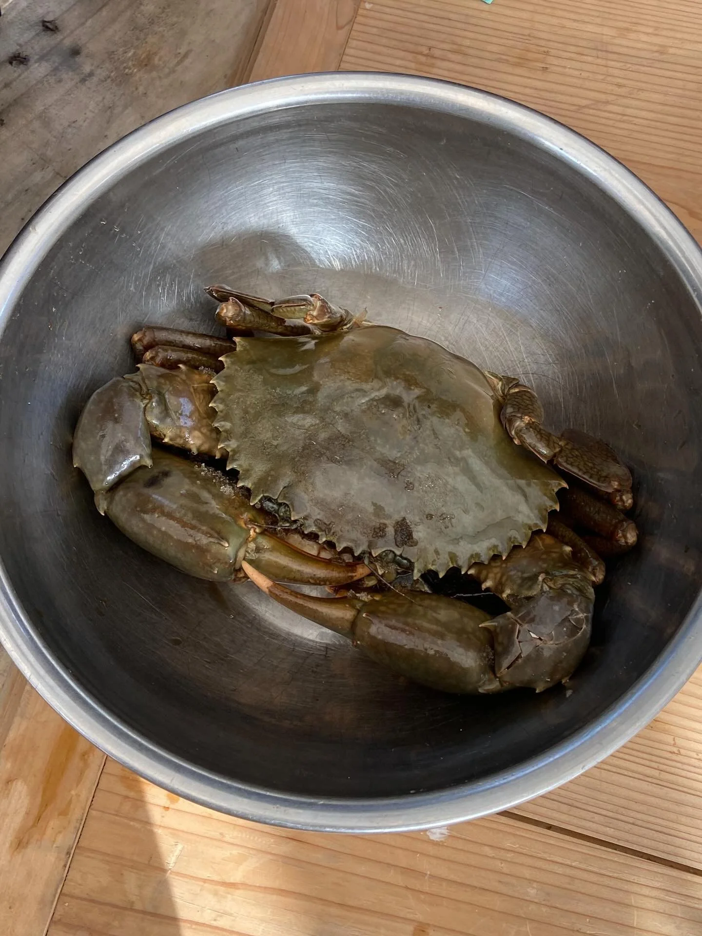 1月22日（木）
🌱子どもキッチン🌱

ある子が自分で釣った ノコギリガザミ🦀を持ってきてくれました！

今回、子ども達が考えたカニの茹で方が秀逸でした😳💡

まずは鍋いっぱいにお湯を沸かして、カニを投入、
その熱湯（ダシ入り）でパスタを茹で、
更にそのダシを使ってスープを作り。
茹だったカニは身をほぐして、スープに入れる。

茹で汁も身も、全部丸ごと！
一つも無駄にせずに、スープにもパスタにも蟹を使うことができました🙏✨

パスタソースは、
ガーデンで採ってきた無臭ニンニクをたっっ