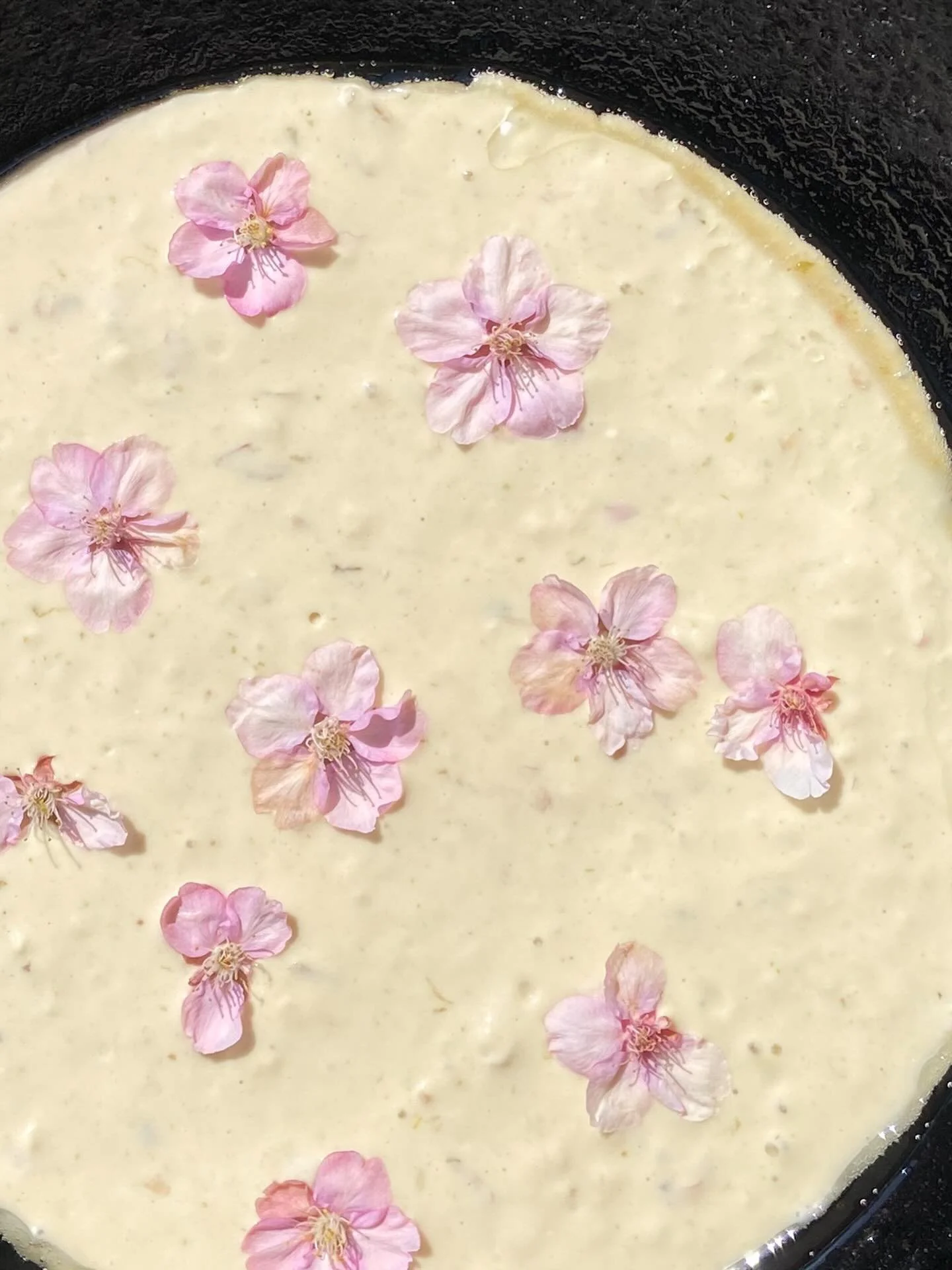 3月11日（水）

今日のおやつはパンケーキがいい！
　　　　　　　　　あ！桜ものせようよ✴︎

そんなこんなで、可愛いおやつ♡

お昼には、フードハブで働きながらハーブを育てているマイちゃんがゲストに◎
ルッコラの花や、ディルなどを持ってきてくれました🧡💜
最後におかずにお花をパラパラと💐

そのお花を見た子どもたちが「これでカラフルな塩を作りたい！」と、突然始まった塩プロジェクト。

桜でピンク、
菜の花で黄色、
オオイヌノフグリで青、

いろんなお花を試しながら、カラフルなお塩ができ