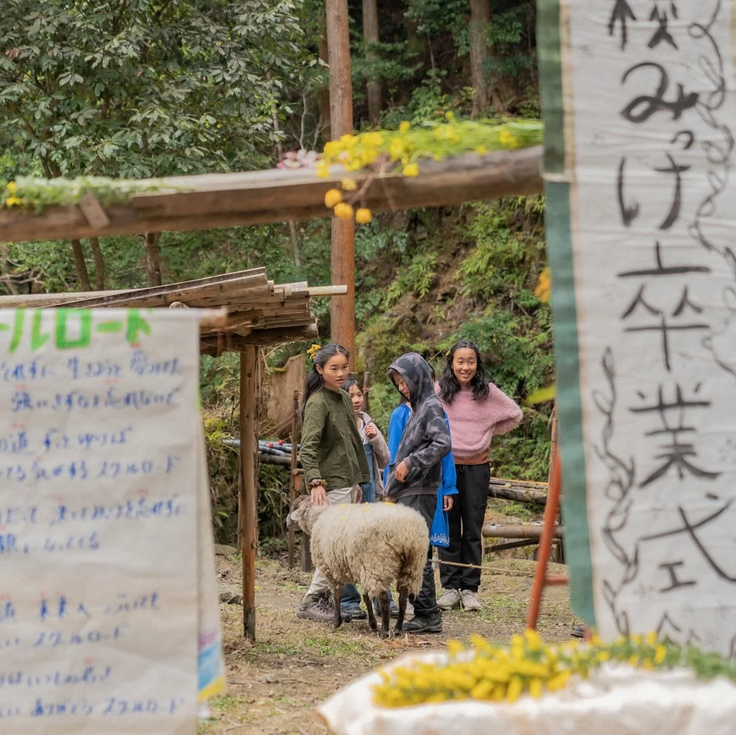 .
愛に溢れたみっけ第4回目の卒業式、無事終了いたしました。今年は5人の大切な仲間たちが卒業していきました🌸

会場セッティングには、卒業生たち自身によって染められた赤梅色の布や、色とりどりの季節の花々が飾られました。

前日までいつも通りこのフィールドを駆け回っていたのに、いざ式当日となると急に成長して見える卒業生たち😢入場の際にはツルとミモザで飾られたレイと、花びらのシャワーで迎えいれられました。

最後の一年が始まった時から、「自然素材で作った証書じゃないと卒業しないから！」と宣言され