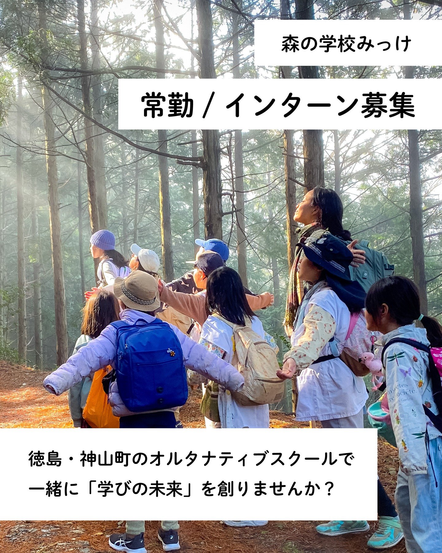 森の学校みっけでは、
一緒に場をつくってくれる仲間を募集しています。

ここでの仕事は、
「教育に関わる」ことでもあり、
「生き方を一緒に考える」ことでもあります。

森の時間を、あなたの時間に。
詳しくはプロフィールのリンクへ 🌿

#森の学校みっけ
#神山
#スタッフ募集 #インターン募集
#教育の未来
#オルタナティブスクール
#森で働く