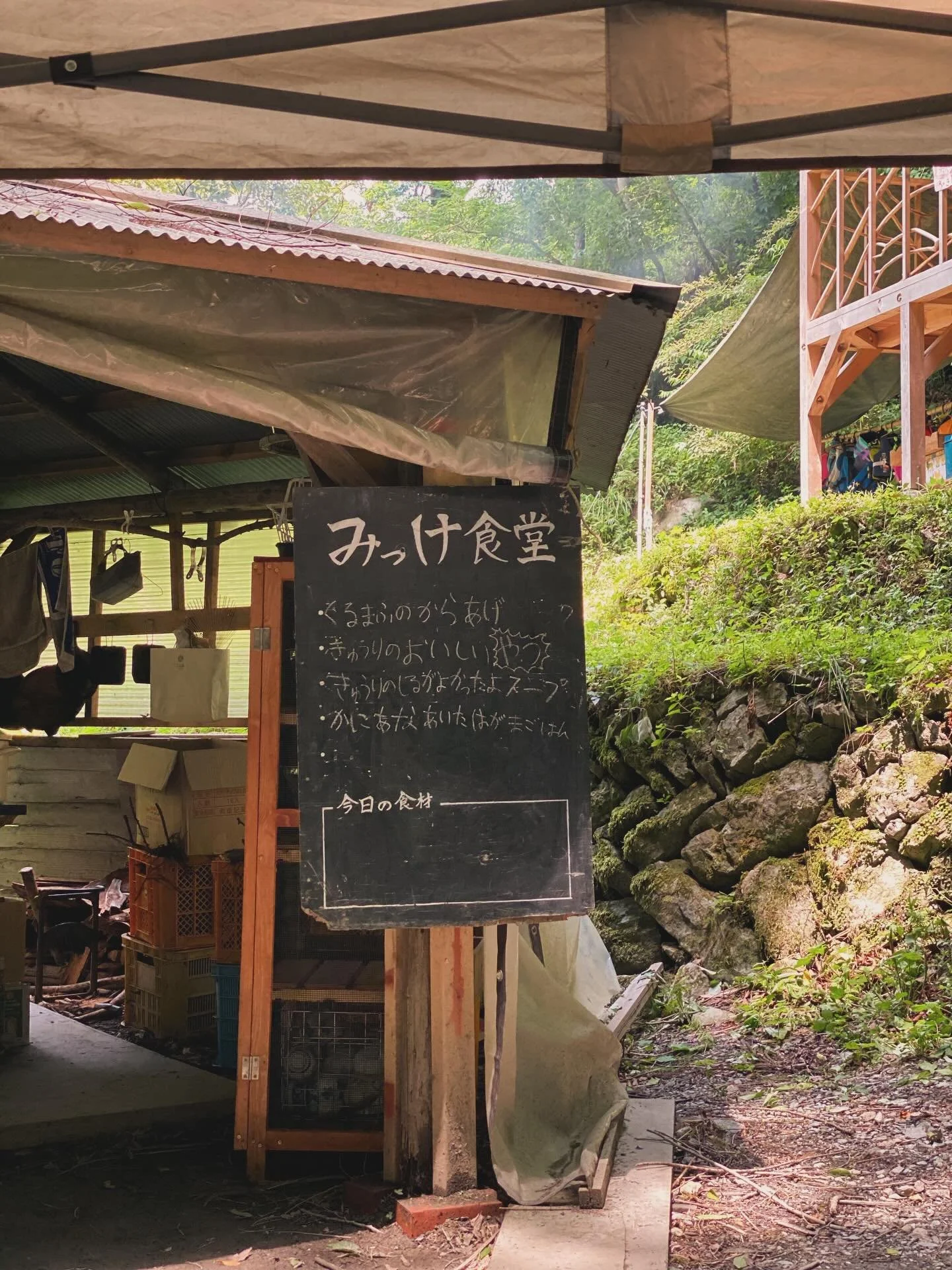 6月11日(木)

今日はガーデン登校の日
そしてみっけの一年の締めくくりでありスタートでもある総会の日

大人も子供もなにやら予定がたくさんな1日になりました！

お昼ごはんを食べに子供たちが続々と戻り、
何やら午後は催し物があるようです
なんと小運動会が開催されました🙌

限られた時間のなかでしたが、
玉入れと借り物競走に奮闘するこどもたち
そして大人も🤭

気づけばお昼ごはんの写真も撮り忘れるほど
濃い1日になったようです

今日の献立
☀︎車麩の唐揚げ
☀︎きゅうりのおいしいやつ
☀