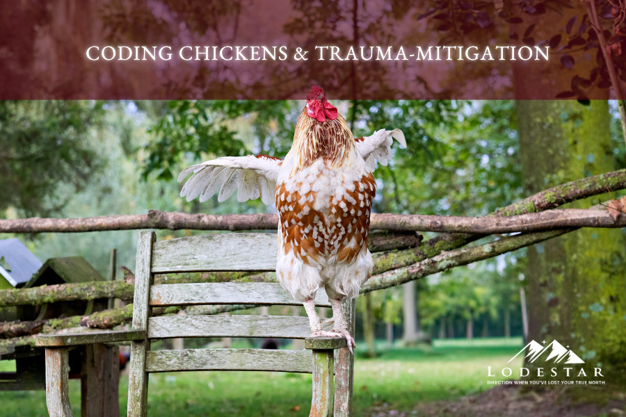 Coding Chickens &amp; Trauma-Mitigation