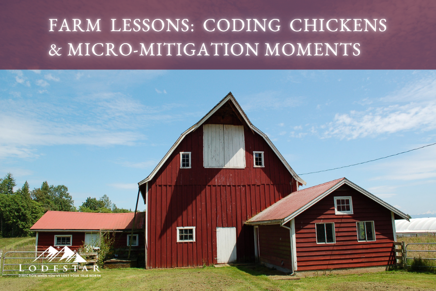 Farm Lessons: Coding Chickens &amp; Micro-Mitigation Moments