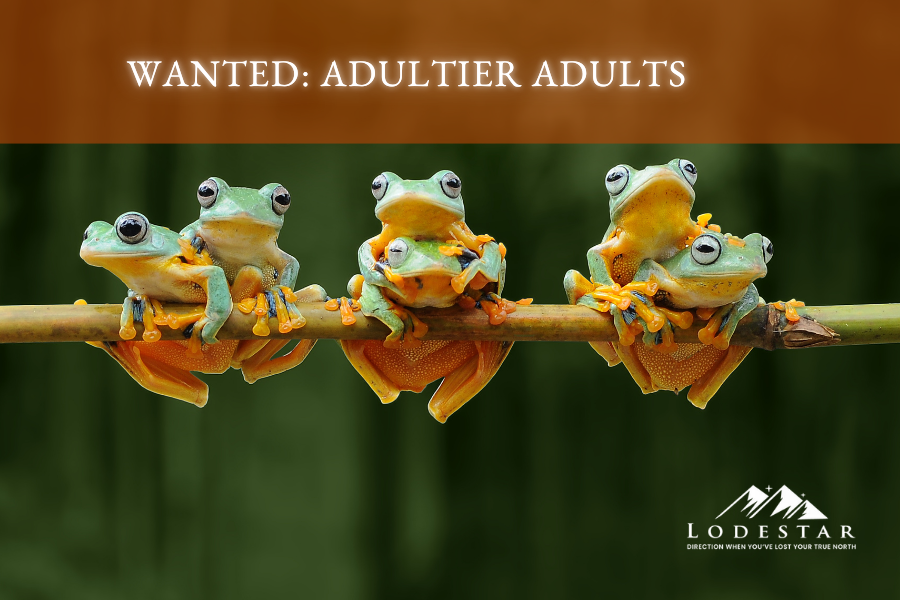 Wanted: Adultier Adults