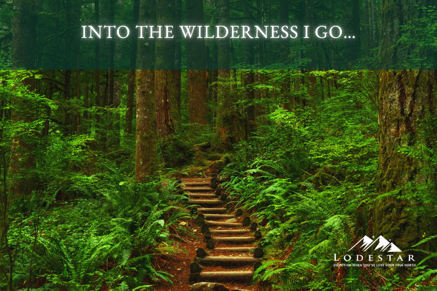 Into the Wilderness I Go…