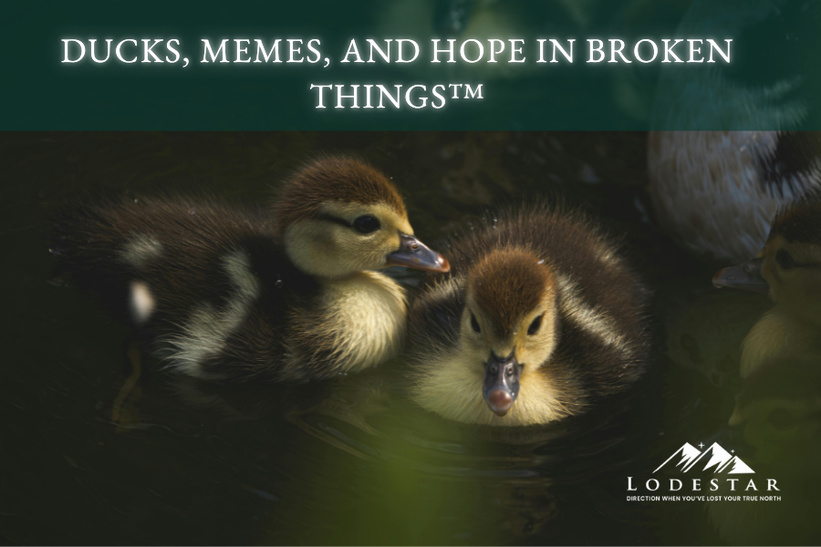 Ducks, Memes, and Hope In Broken Things™
