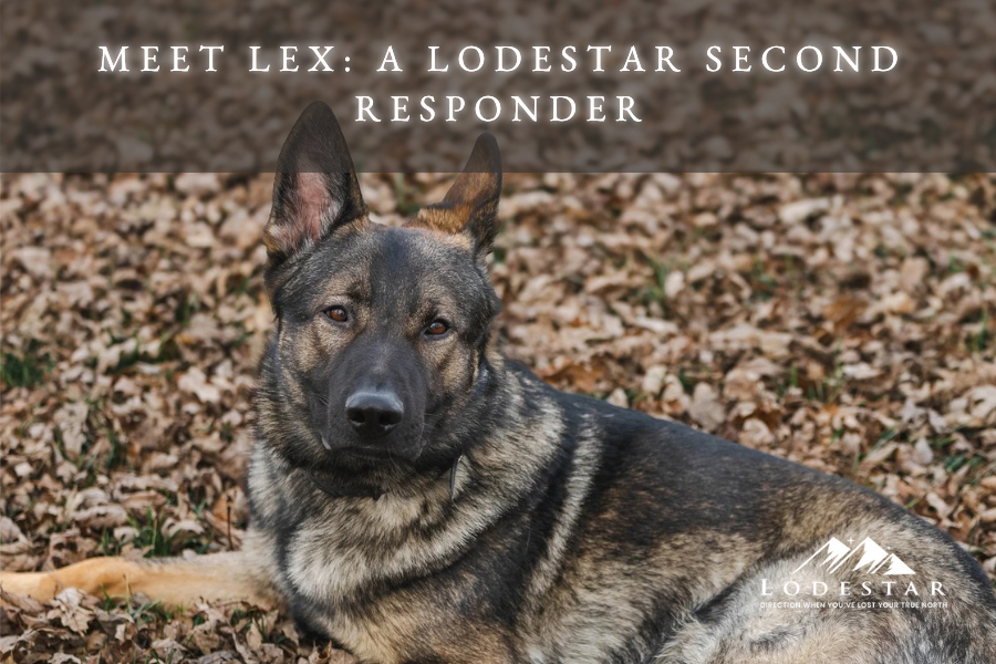 Meet Lex: Lodestar Second Responder