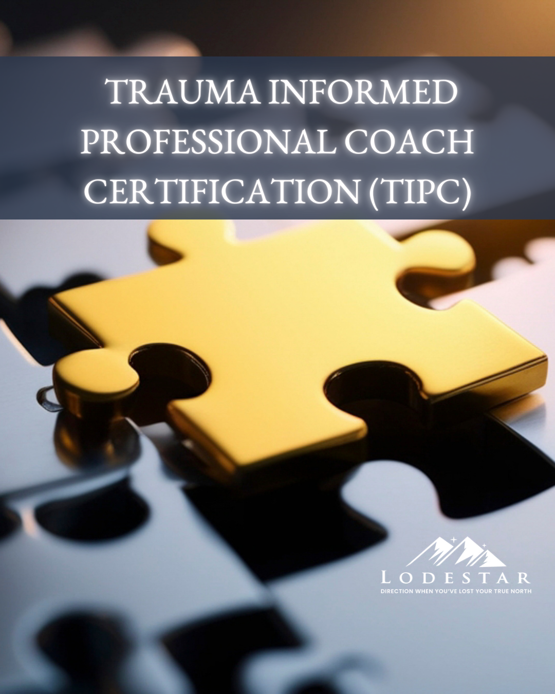 Trauma Informed Professional Coach Certification (TIPC)