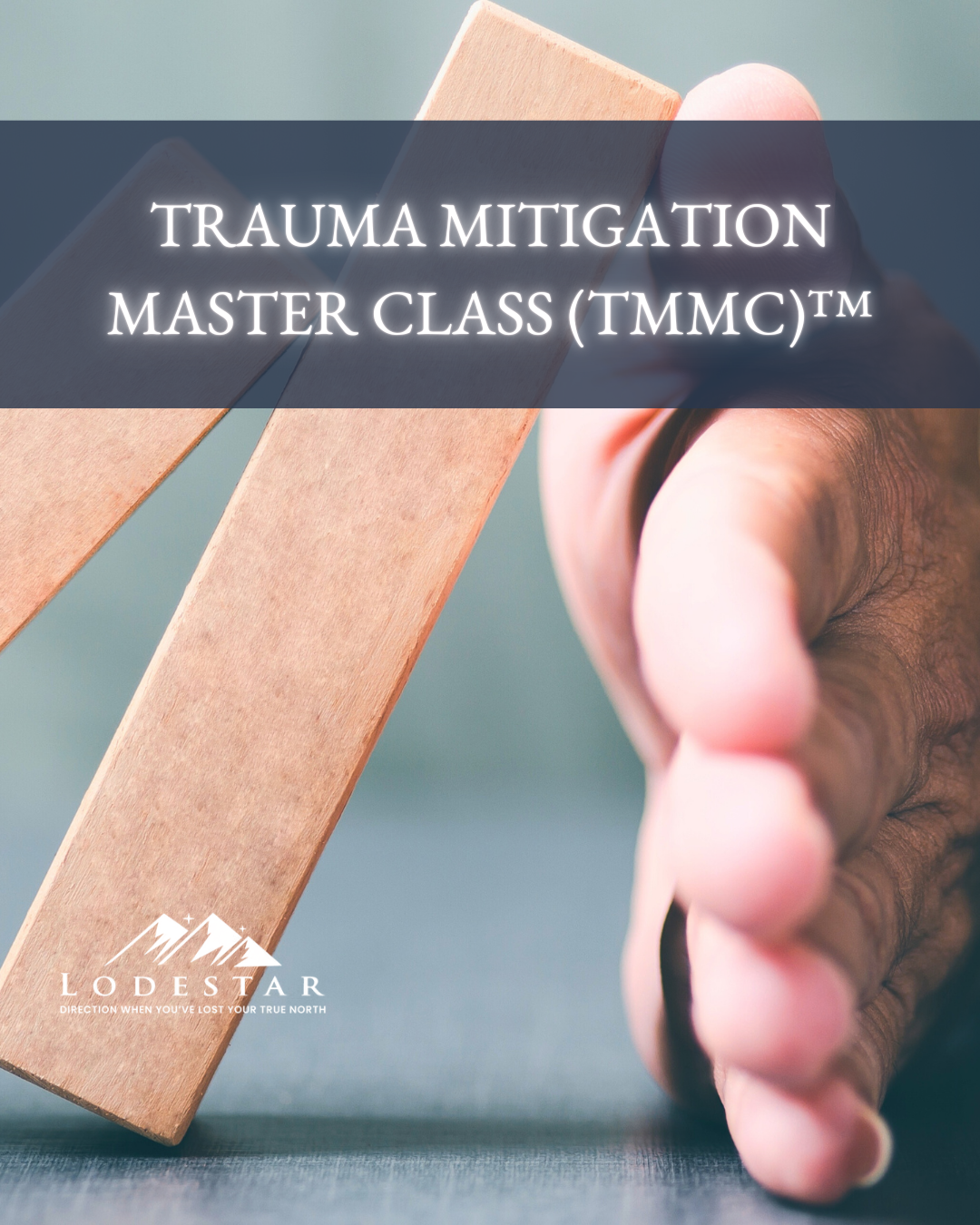 Lodestar Product Image (17).png