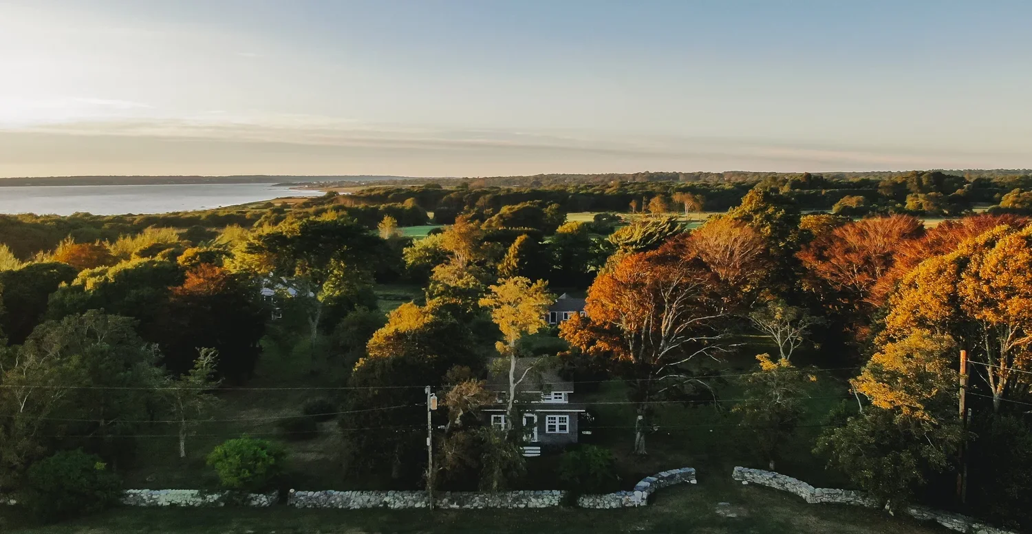 Aerial view of a lush landscape with trees, houses, and a body of water near the horizon during sunset or sunrise.