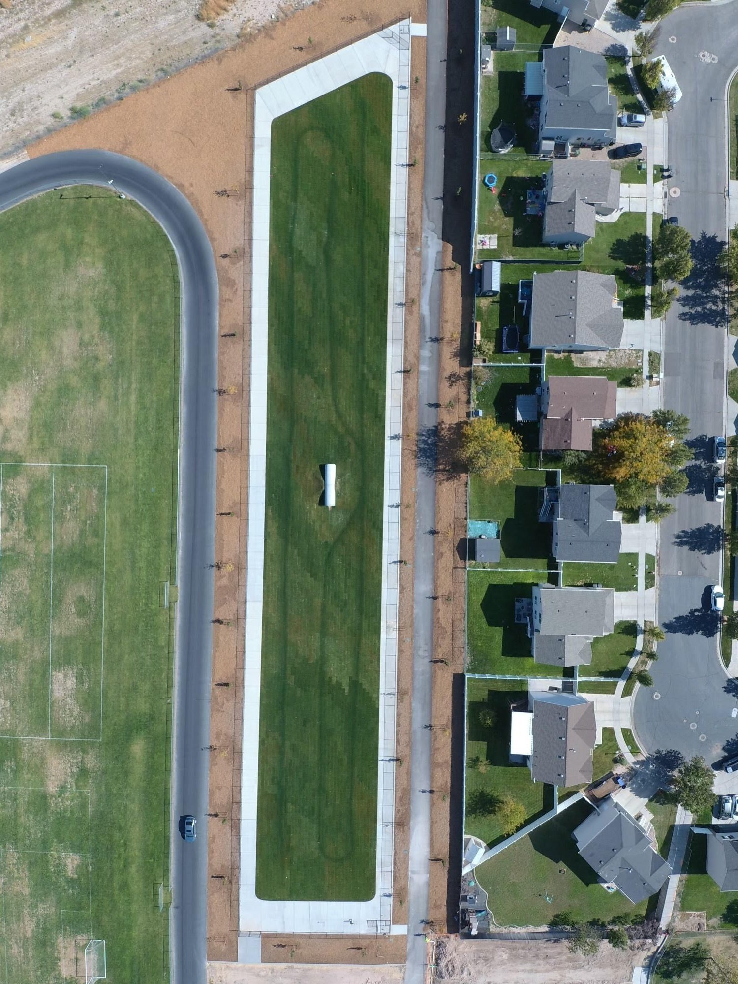 Sryacuse Dog Park (1).jpg