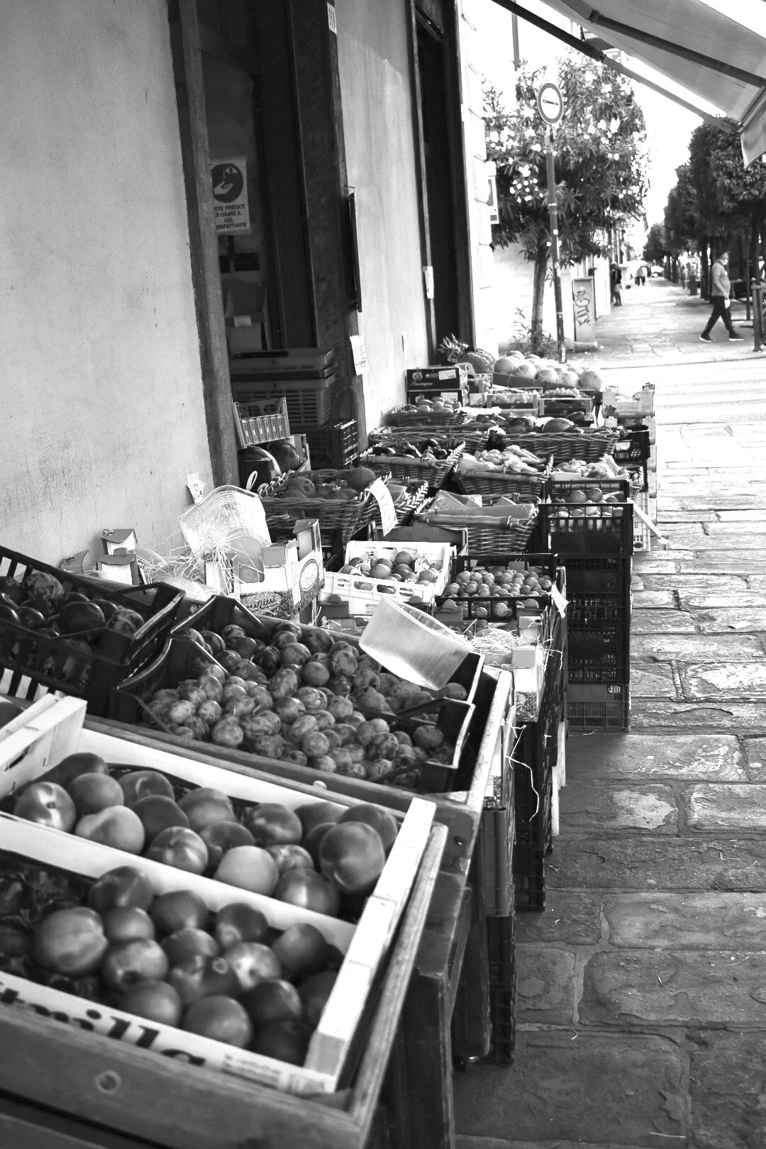 Wisdom From our Matriarchs: Autonomy in Health