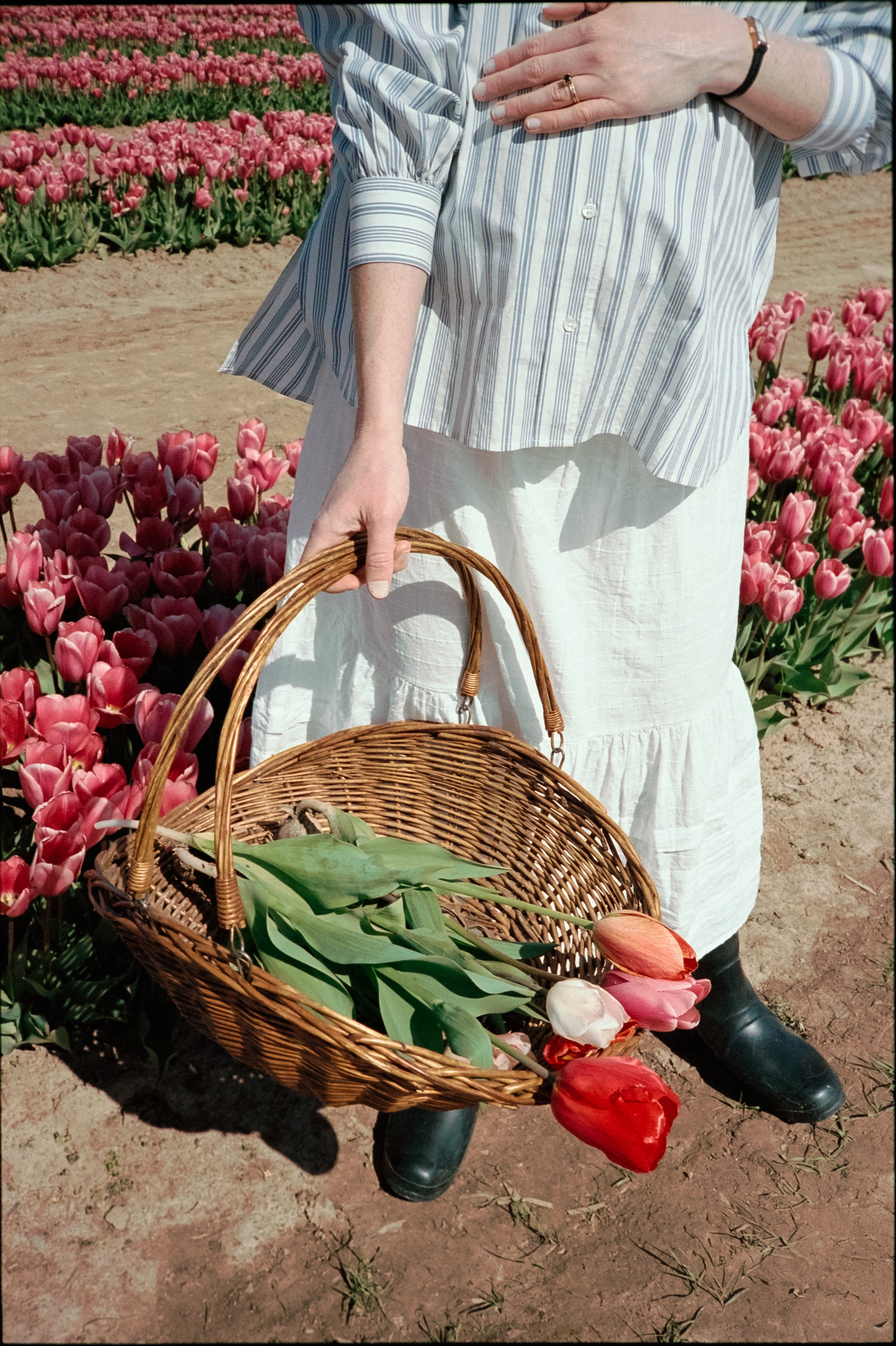 tulips-film-2024-peytoncurry-15.jpeg