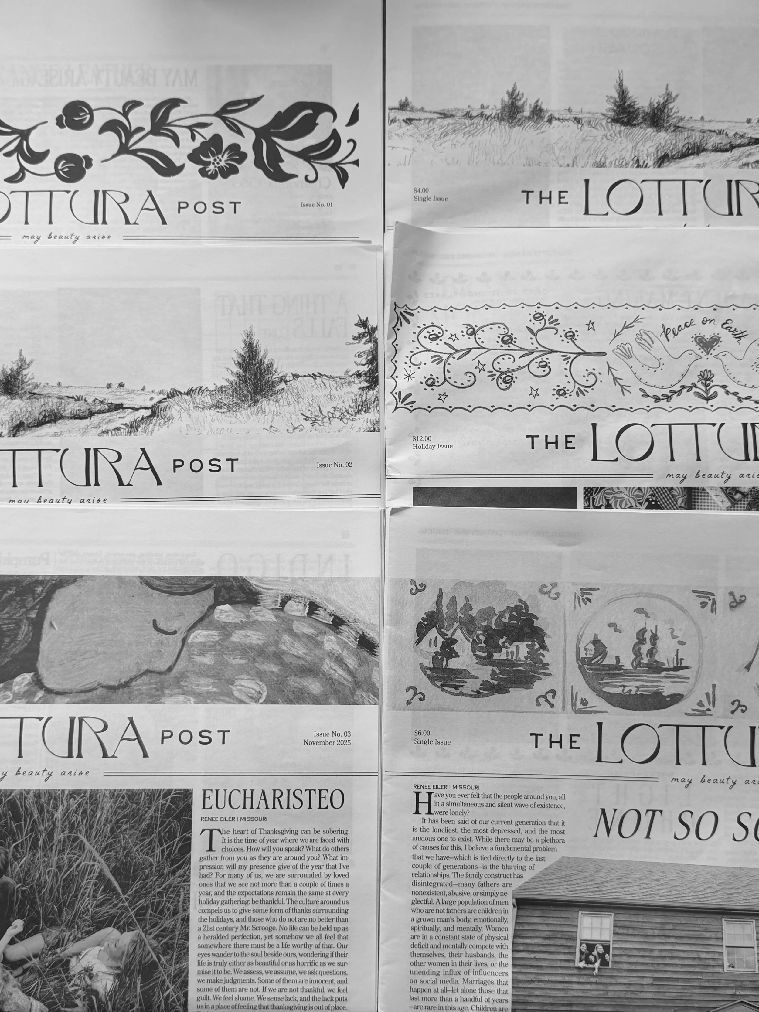 Six Months of Beauty