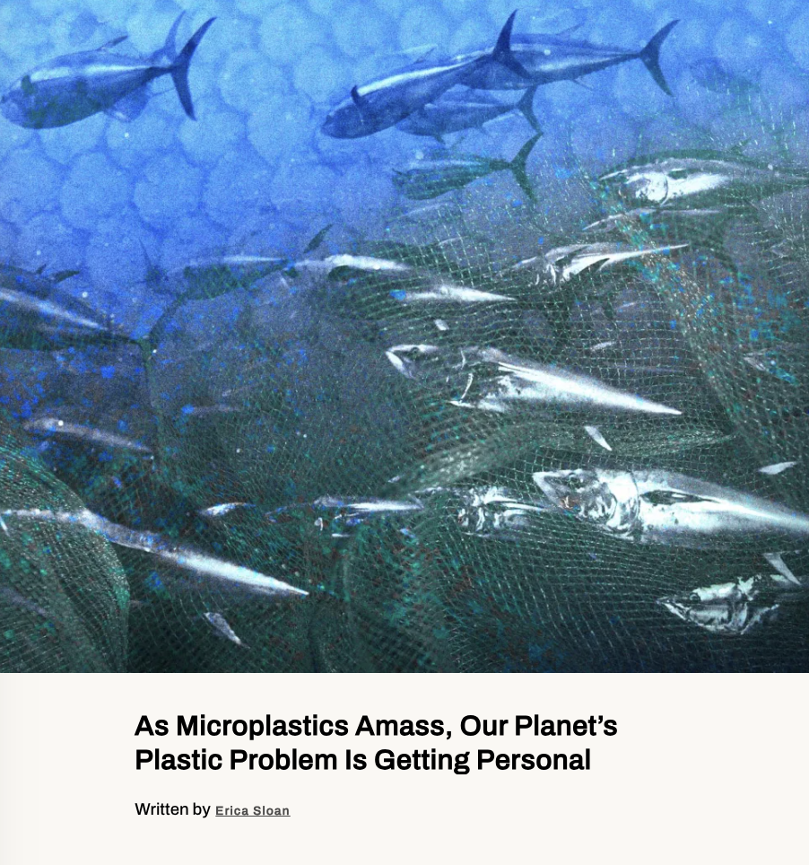 Screenshot 2024-12-22 at 2.05.52 PM.png