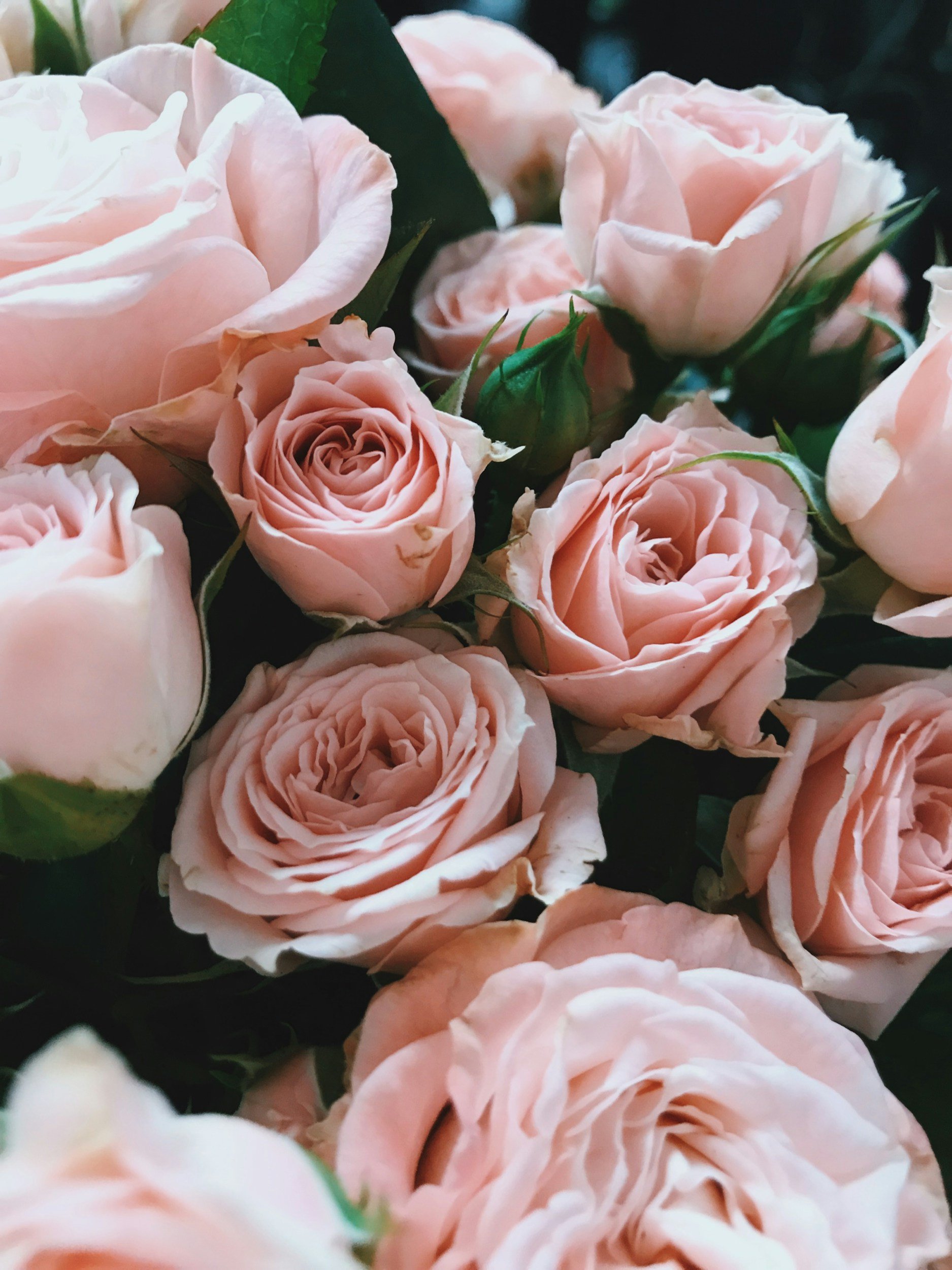 Single on Valentine's Day? Here's How To Make It Fabulous