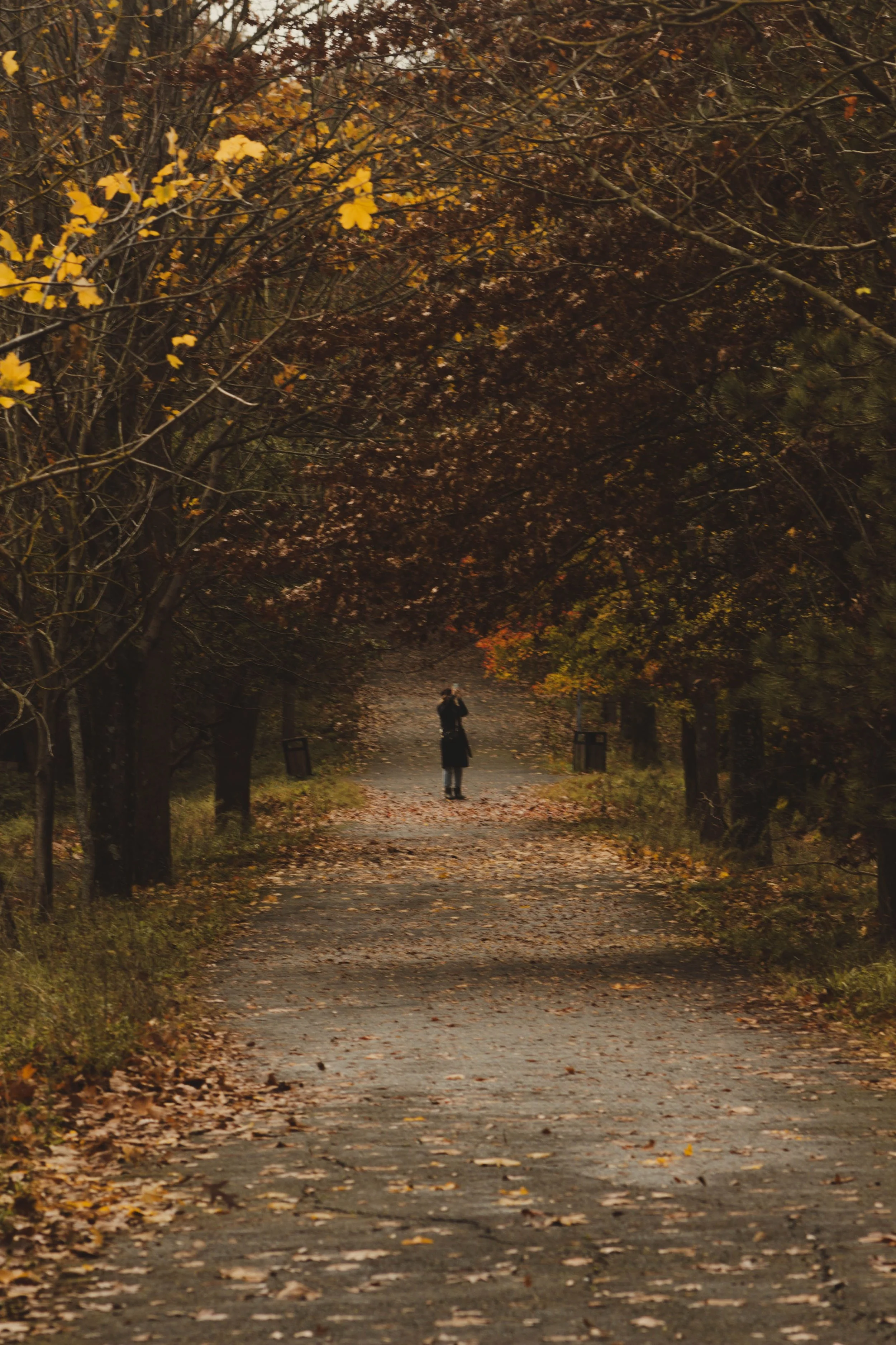 A person walking down a tree-lined park trail covered with fallen leaves in autumn.