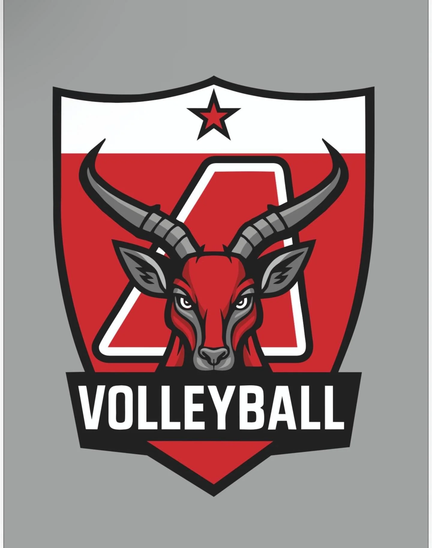 Avonworth High School Volleyball - Ring Ceremony