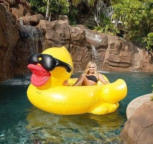 I Am Not An Animal, Floater