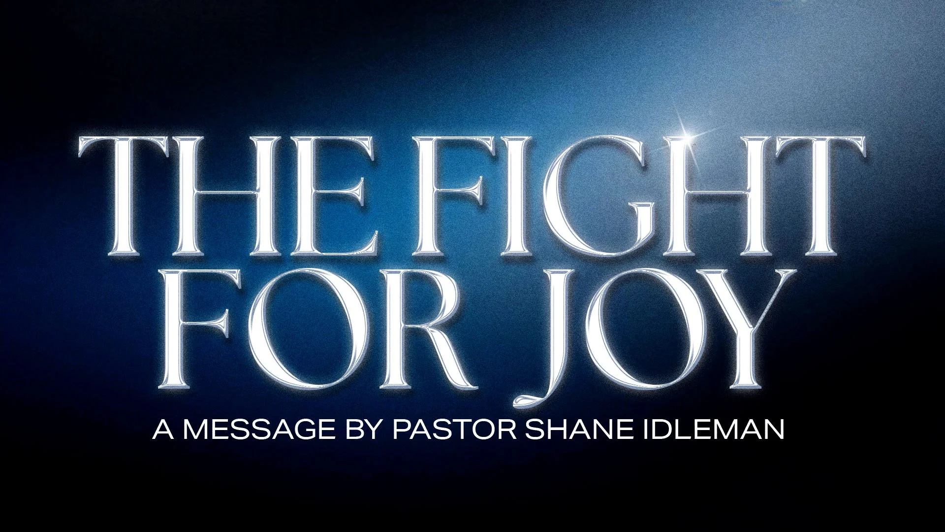 the fight for joy.jpg
