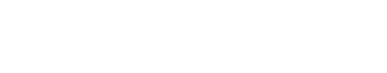 Hiesener Consulting