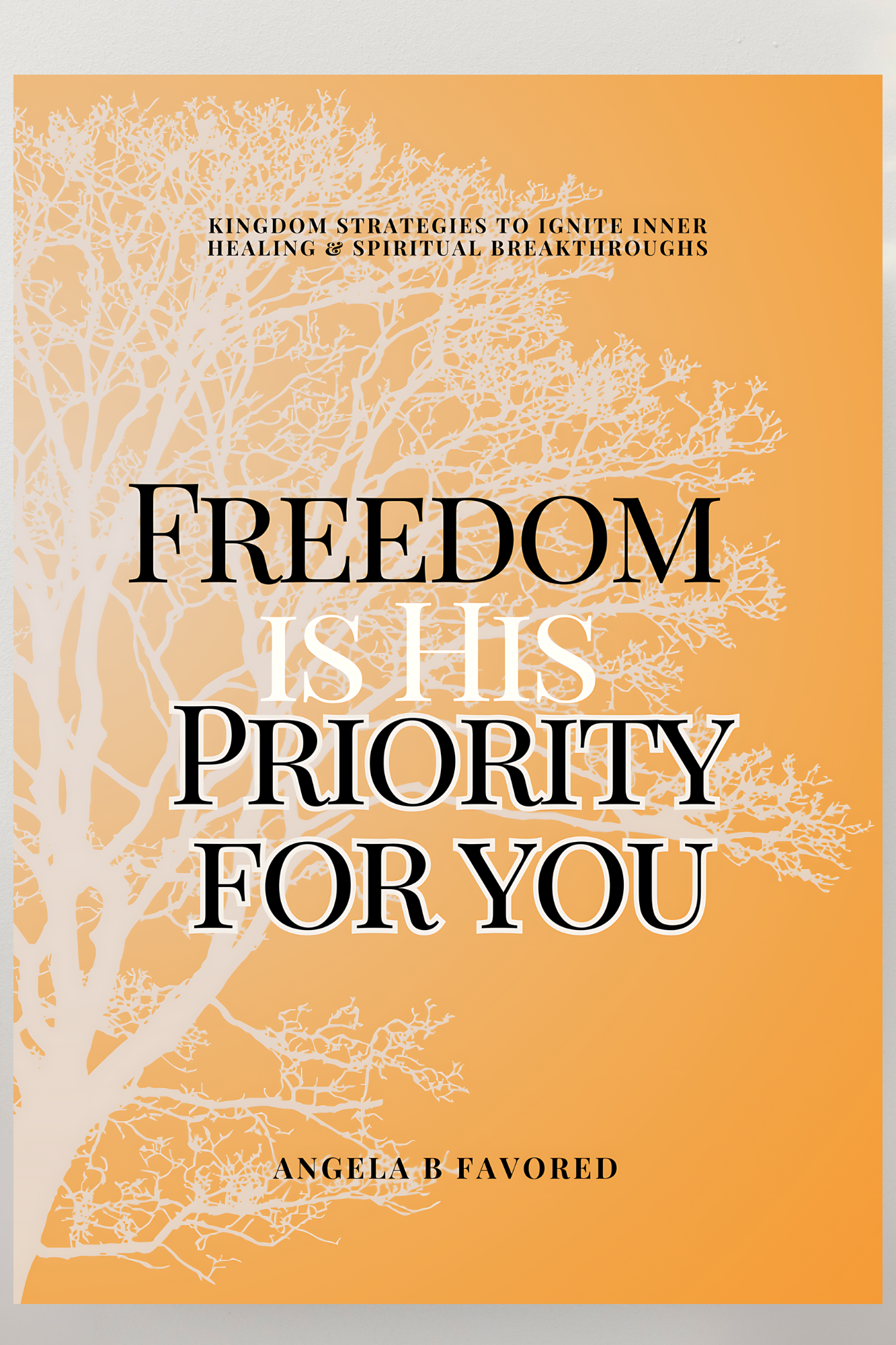 Freedom is His Priority For You