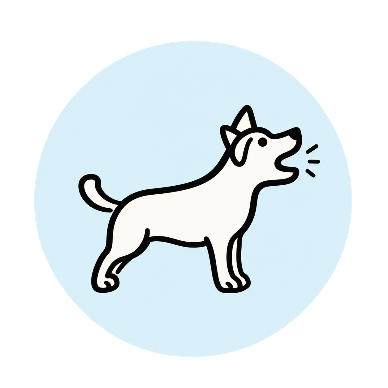 adopted dog behavior help, leash training for rescue dogs, separation anxiety newly adopted dog, newly adopted dog barking